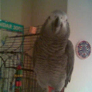 Meet your Posher, Takako